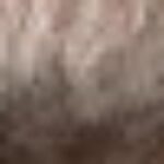 Profile picture of Mick McGowan